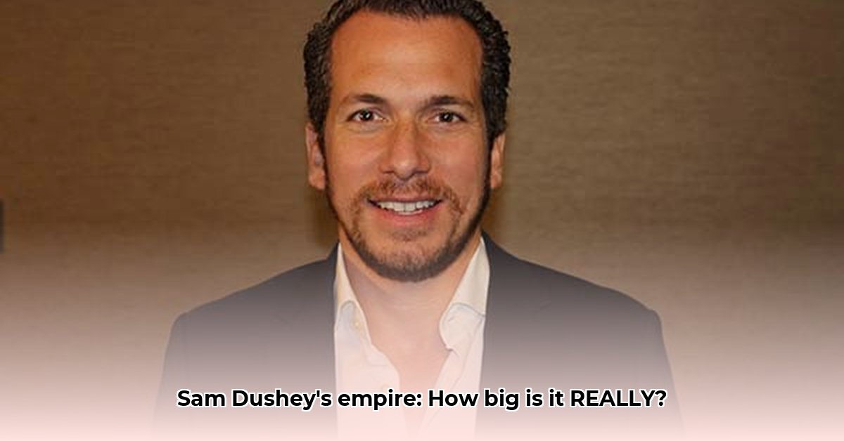 sam-dushey-net-worth